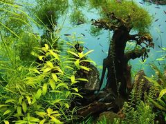 -多彩贵州城极地海洋世界