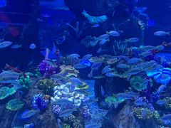 -长沙湘江欢乐雪域