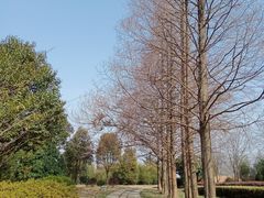 -冶山国家矿山公园