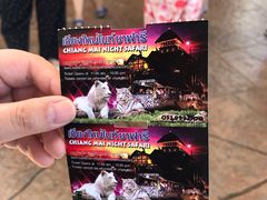 -清迈夜间动物园