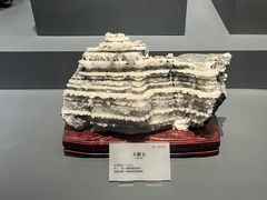 -湖南省地质博物馆