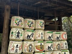 -奈良公园