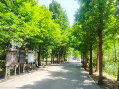 -广富林郊野公园