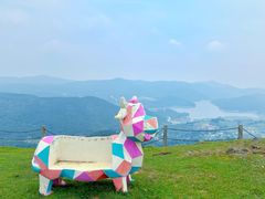 -大姆山草场