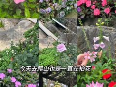 -广州市白云山风景名胜区