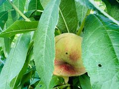 -龙熙温泉高尔夫俱乐部