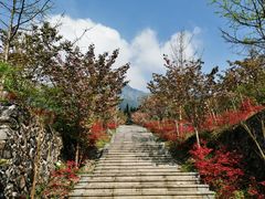 -太阳湾风景区