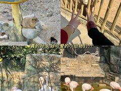 -望天湖