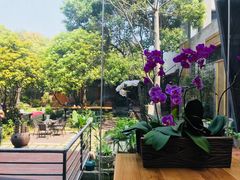 -谷咖啡·鲜花绿植花园餐厅