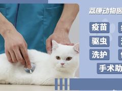 -荔康动物医院(康王北路店)