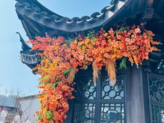 -青果巷历史文化街区