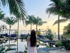 -精酿农场Brew Farm·沙漠绿洲餐厅