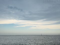 -东郊椰林