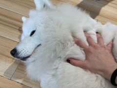 -听TA说宠咖·宠物生活馆(天韵水岸店)