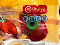-海底捞火锅(吾悦国际广场店)
