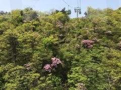 -安徽天堂寨风景区