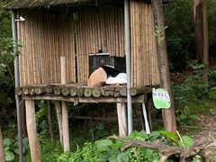 -广州长隆野生动物世界