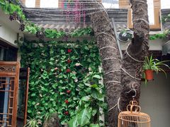 -丽江庭院·云南野生菌·海鲜火锅(鼓楼四合院店)