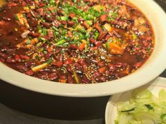 -新概念来凤鱼(璧山店)