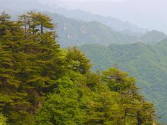 -老君山风景名胜区
