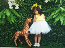 -哈尼Honey baby 儿童摄影(立丰国际公寓店)