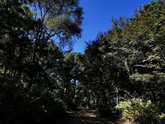 -棋盘山风景区