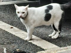 -金砂公园
