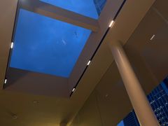 -BeauTea水仙(coco park店)