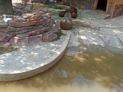 -长廊欢乐园