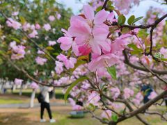 -西北湖绿化广场