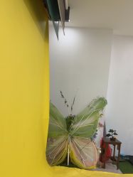 点击看大图 -爱儿美儿童摄影(奥森公园店)