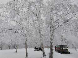 -大秃顶子山(雪谷店)