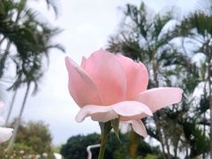 -人民公园(罗湖区)