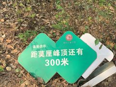 -雨花胜境