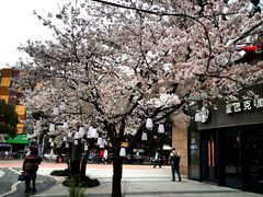 -绿地风尚天地广场