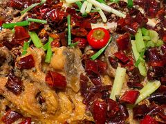 -老板恋上鱼(高新万达店)