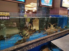 水产区-聚福宝合苑食府(南头镇店)