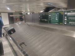 -米兰马尔彭萨国际机场