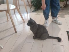 -Rabbit Cafe私房西餐甜点咖啡(栖霞路店)