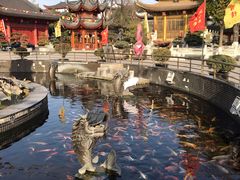 -上海东林寺(金山区)