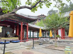 -宫事颐庭·老佛爷贵寿下午茶(颐和园店)