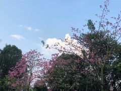 -清远熹乐谷温泉度假酒店
