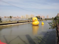 -菊园百果园