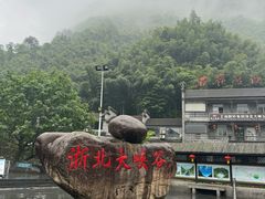 -浙北大峡谷