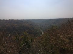 -大青沟风景区