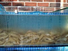 水产区-蟹谢蒸鲜自助餐厅