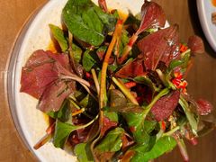 -向川南·水煮鱼·川菜(和平里店)