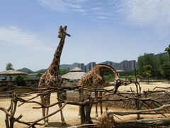 -杭州野生动物世界