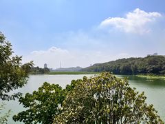 -月湖风景区