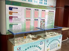 -上海市第五人民医院